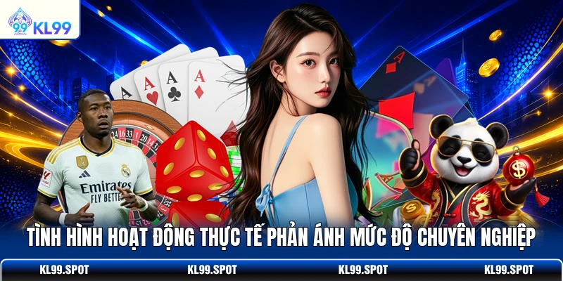Tình hình hoạt động thực tế phản ánh mức độ chuyên nghiệp